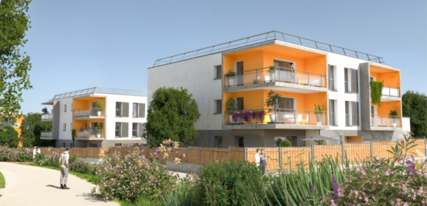 Ilot Pleuvey II - Savigneux